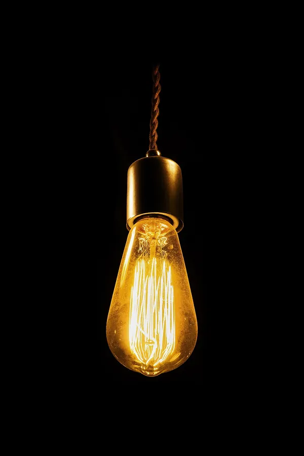 Altın Duylu Edison Sarkıt Lamba